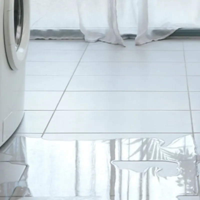 Appliance Leak Cleanup in Grant-Valkaria, FL