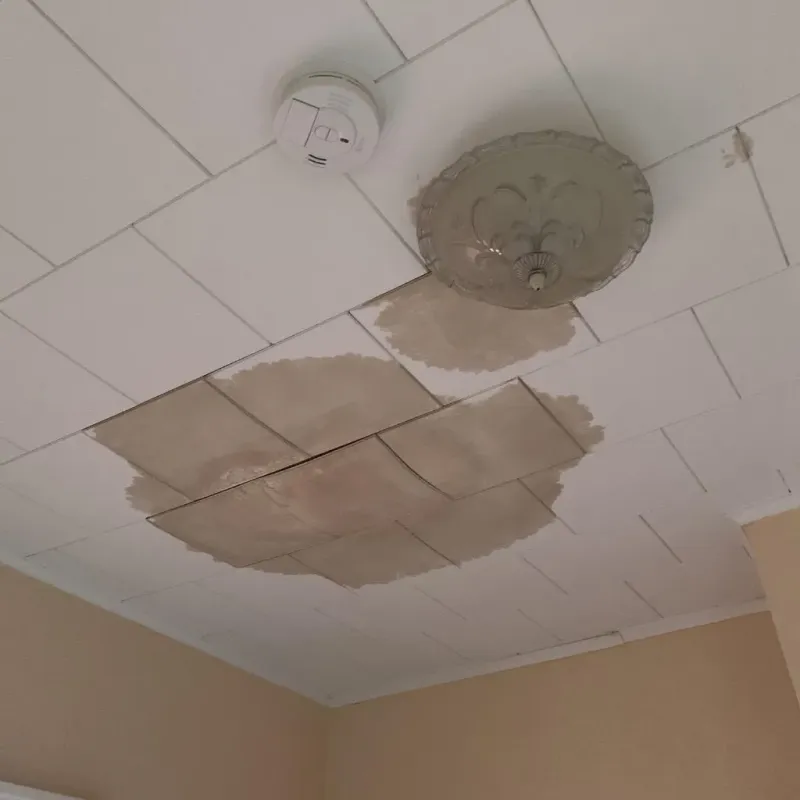 Ceiling Water Damage Repair in Grant-Valkaria, FL